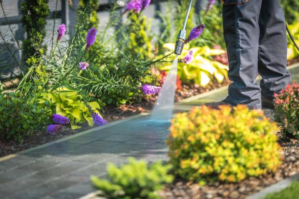 Best Gutter Cleaning  in Payette, ID