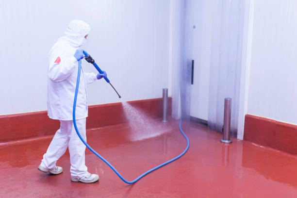 Best Concrete Sealing  in Payette, ID